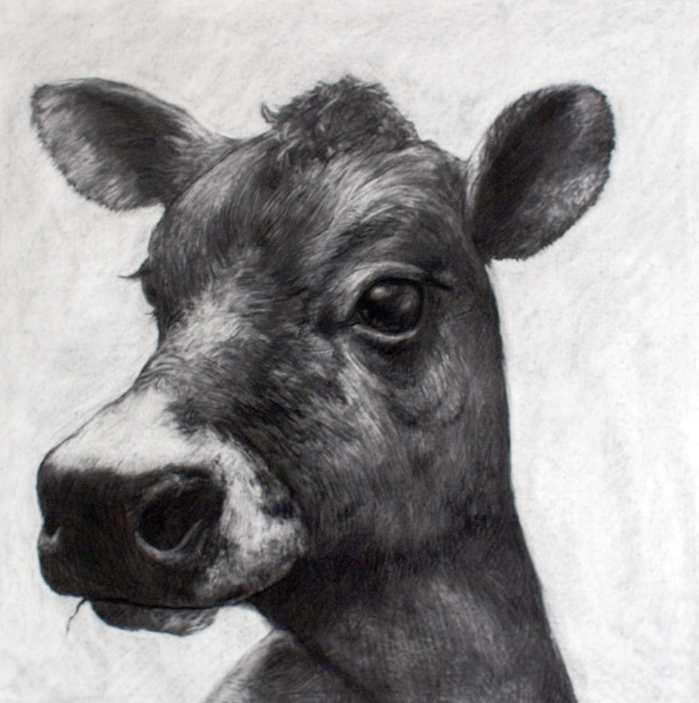 Divine Bovine 8 (Moo)