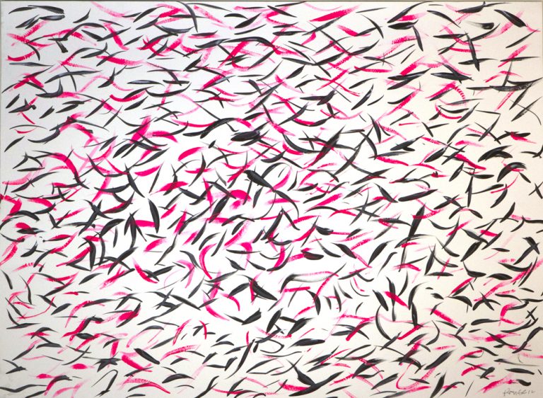 Pink and Black Shoal