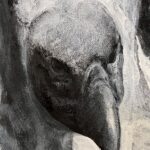Cape Vulture (Griffon) (small print).