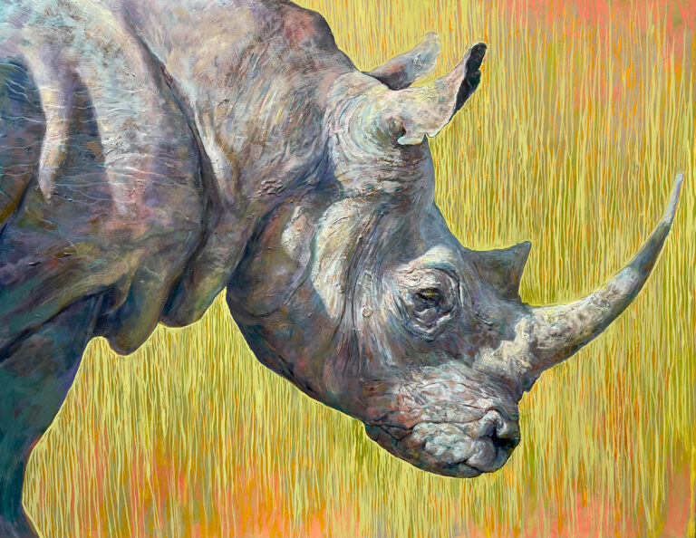 Rhino In Grass