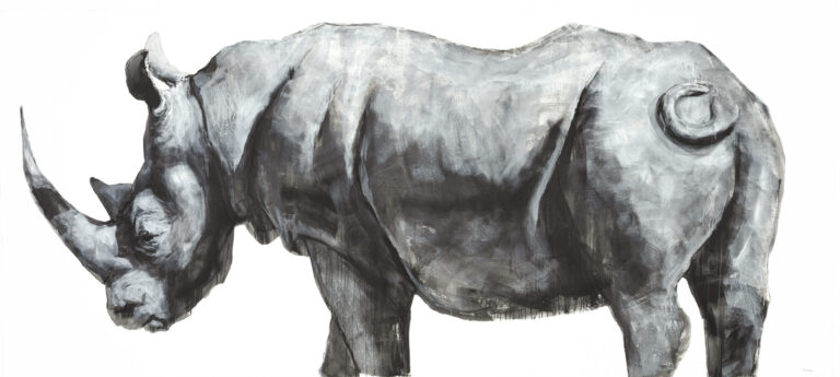 White Rhino (large print)