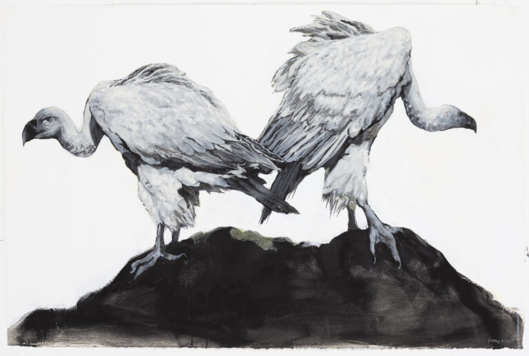 Two Cape Vultures