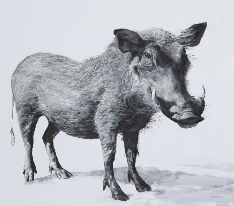 Warthog (print)