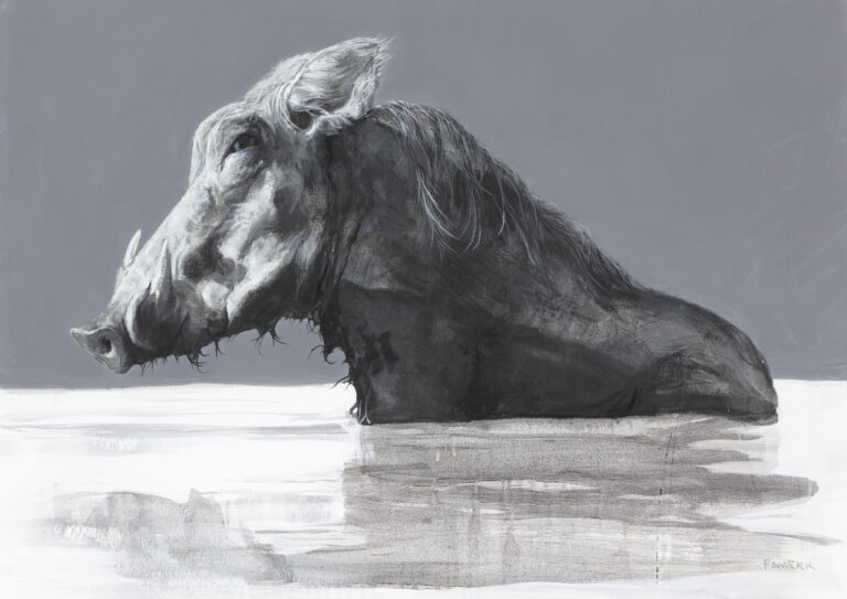 Wet Warthog (print)