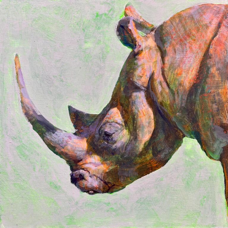 White Rhino No1