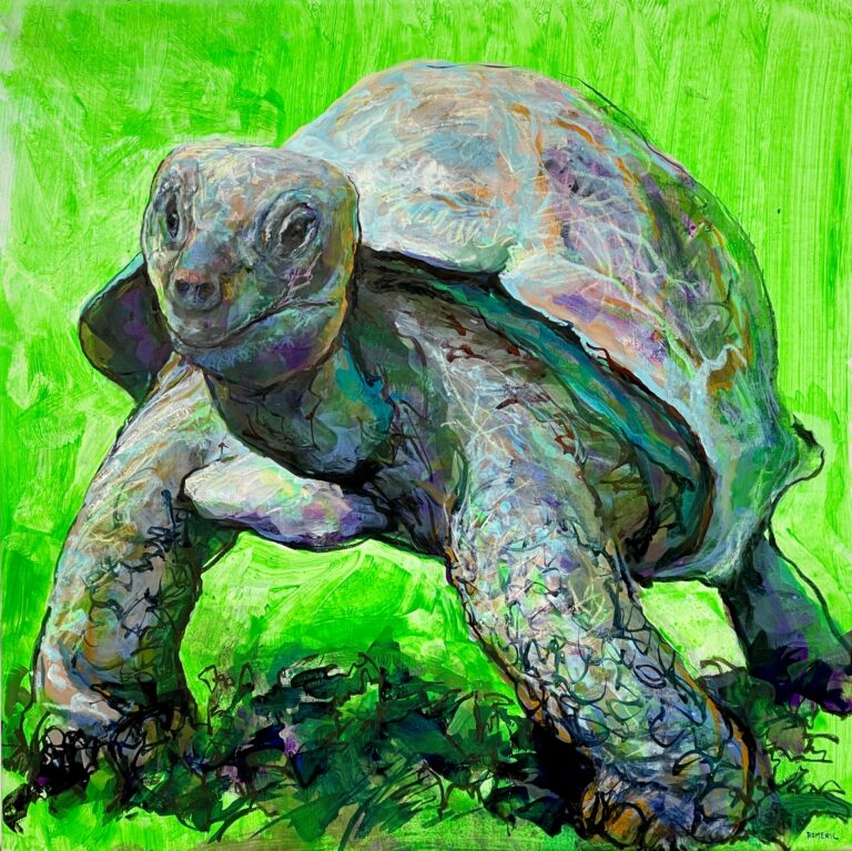 Giant Tortoise