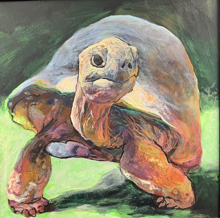 Giant Tortoise Dark