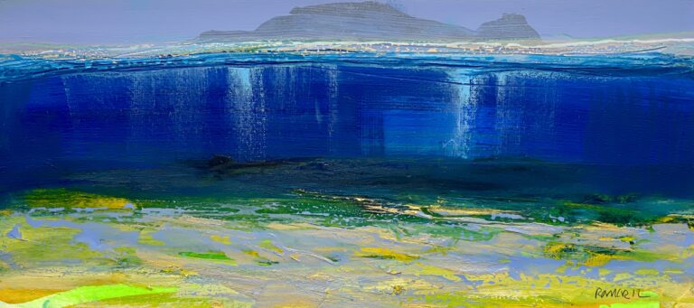 Under the Seychelles No1