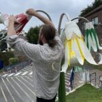 Jersey Lilly for De La salle College