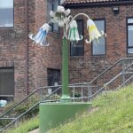 Jersey Lilly for De La salle College