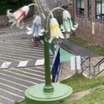 Jersey Lilly for De La salle College