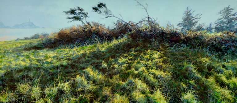 Long Grass